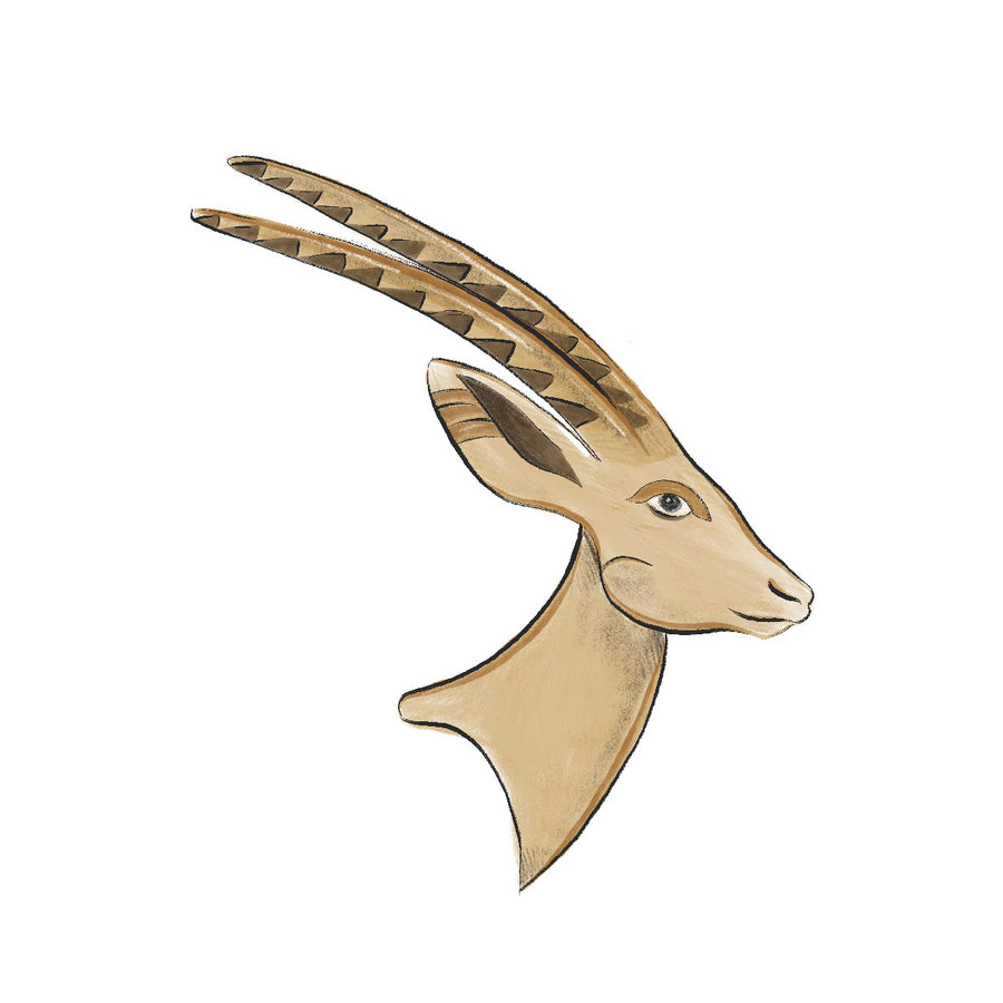 Gazelle
